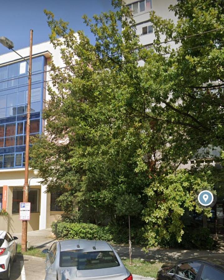 טימישוארה David'S Studio מראה חיצוני תמונה